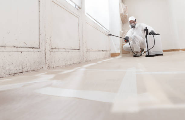 24/7 Emergency Basement Mold Removal experts in Milton, PA